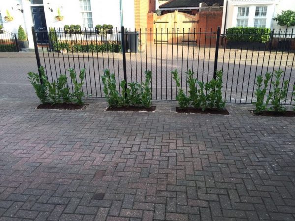 block paving driveway 02