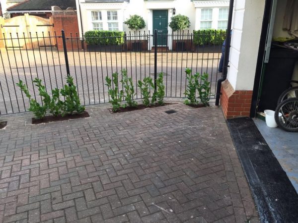 block paving driveway 11