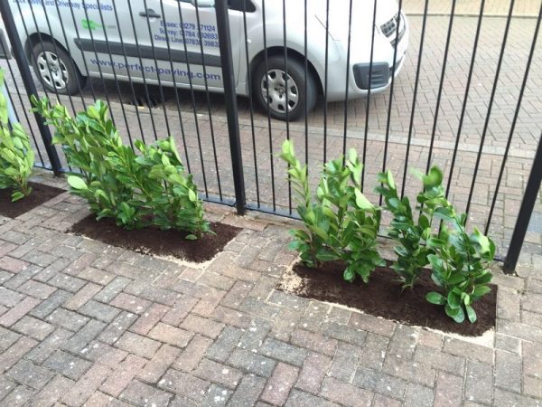 block paving driveway 12