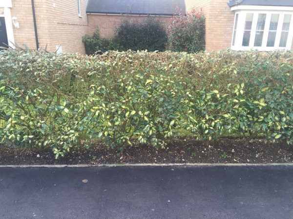 block paving driveways 05