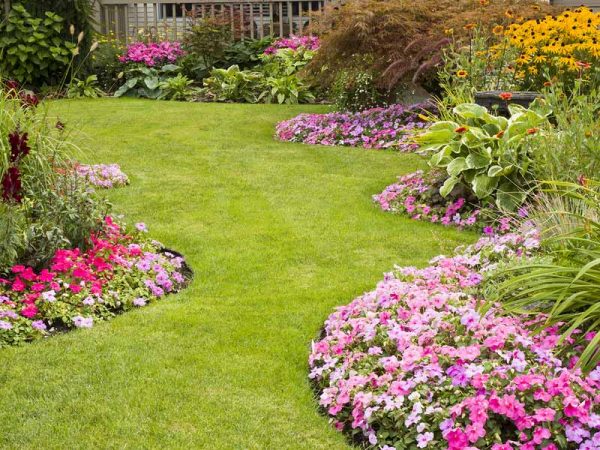 landscaping services 1