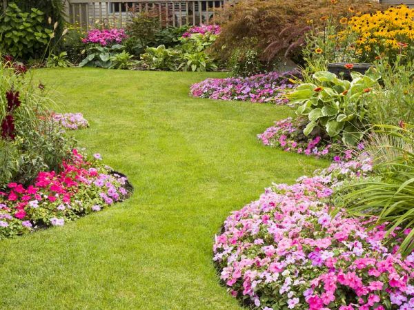 Landscaping Services