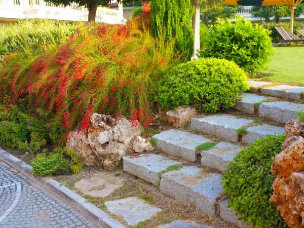 landscaping services 2