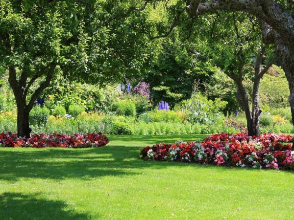 landscaping services 3