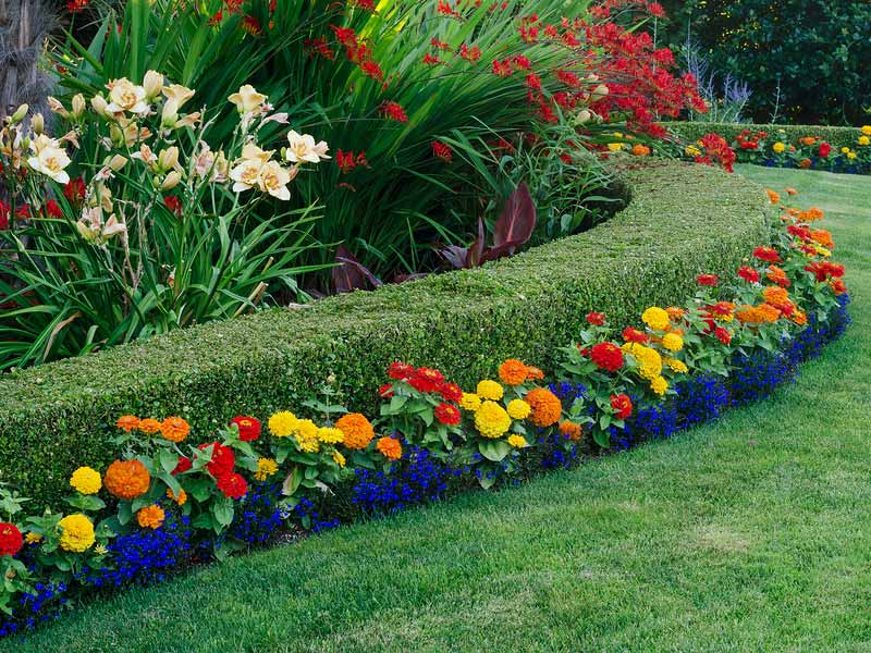 landscaping